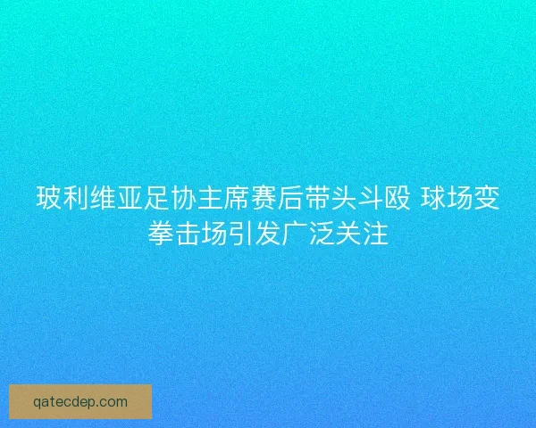 玻利维亚足协主席赛后带头斗殴 球场变拳击场引发广泛关注